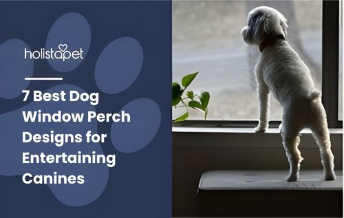 A small white dog stands on a windowsill looking out a window, with a plant to its left, showcasing one of the best dog window perch designs that combines comfort, style, and a perfect view for curious pups.