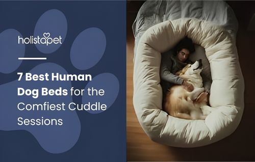 A person and a dog sleeping together in a large, plush dog bed, featuring best human dog beds for ultimate comfort and bonding.