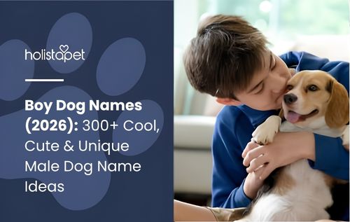 A person holding a Beagle dog, with the dog looking happy and panting with its tongue out, while featuring inspiration for popular boy dog names.