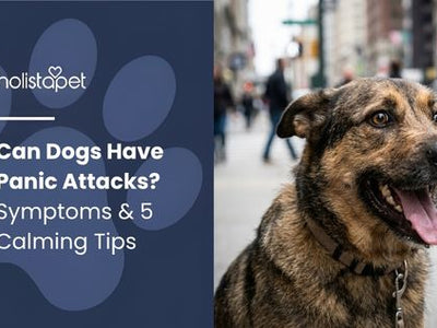 Can Dogs Have Panic Attacks? Symptoms & 5 Calming Tips