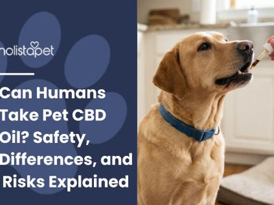 Can Humans Take Pet CBD Oil? Safety, Differences, and Risks Explained