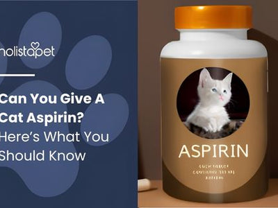 Can You Give A Cat Aspirin? Here’s What You Should Know