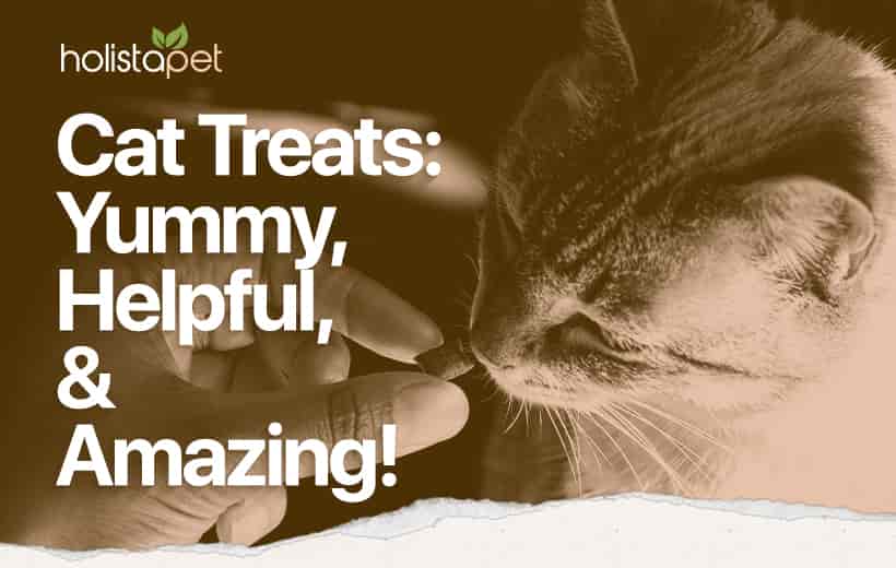 Cat Treats: Different Varieties + Benefits and Uses