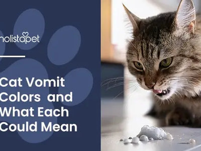 Cat Vomit Color Chart [Normal vs Abnormal Vomit Colors]