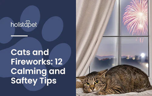 calming and safety tips for cats being scared of fireworks