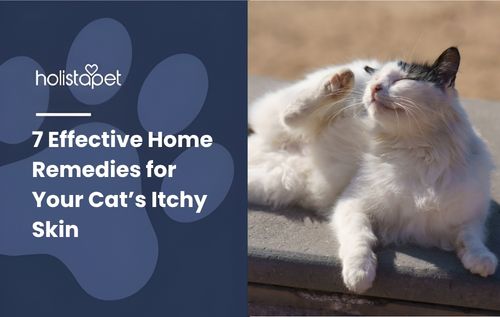 A white cat with black markings on its head is lying down, looking itchy as it scratches its ear with its hind leg.