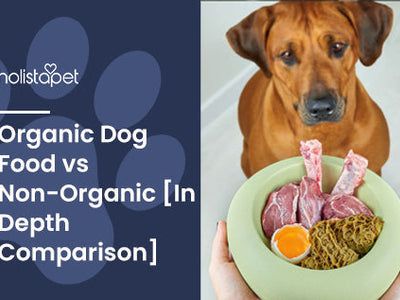 Organic Dog Food vs Non-Organic [In Depth Comparison]