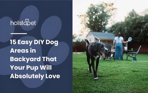15 Easy DIY Dog Areas in Backyard That Your Pup Will Absolutely Love