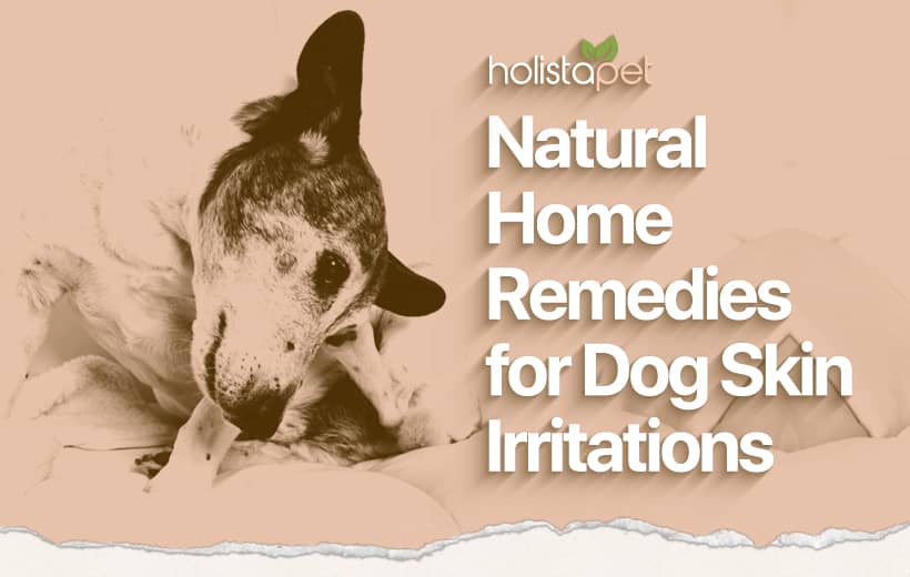 Dog Irritated Skin Home Remedy [Calming Your Pup's Itchy Coat Naturally]