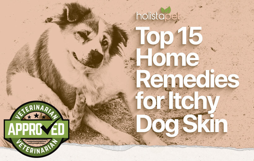 7 Best Dog Itchy Skin Home Remedies - All You Need To Know!
