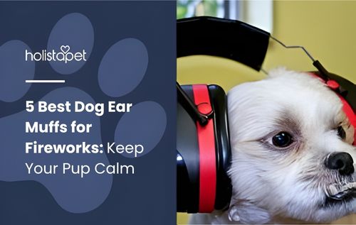 A small white dog wearing black and red dog ear muffs for fireworks, designed to reduce loud noise and keep pets calm.