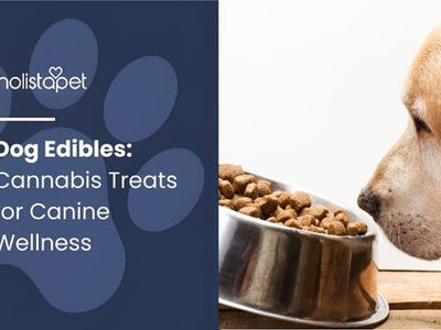 Dog Edibles: Cannabis Treats for Canine Wellness
