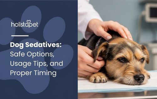 A person gently petting a dog lying on an examination table while discussing safe options like dog sedatives to help reduce anxiety during veterinary visits, creating a calm and stress-free experience for the pet.