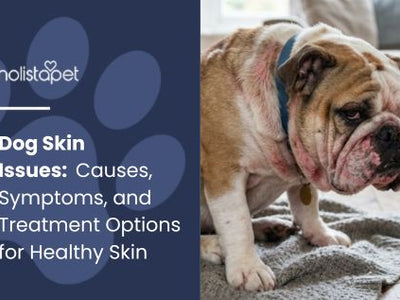 Dog Skin Issues: Causes, Symptoms, and Treatment Options for Healthy Skin