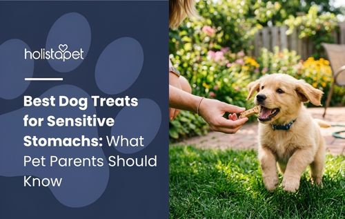 A golden retriever puppy reaches for a treat in a grassy yard, illustrating dog treats for sensitive stomachs.