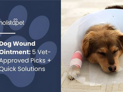 Dog Wound Ointment: 5 Vet-Approved Picks + Quick Solutions