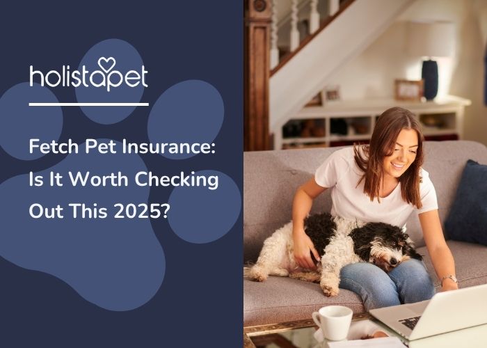 fetch pet insurance for dogs and cats