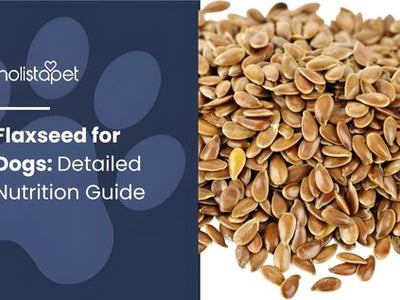 Flaxseed for Dogs: Detailed Nutrition Guide