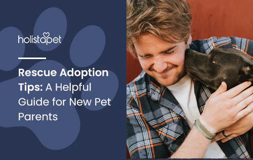 Helpful adoption tips for new fur parents