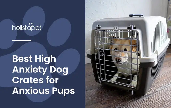 High anxiety dog crate featured blog image by Holistapet. Shows a dog inside of a pet crate.