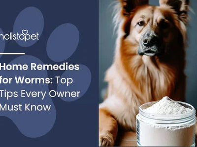 Home Remedies for Worms: Top Tips Every Owner Must Know