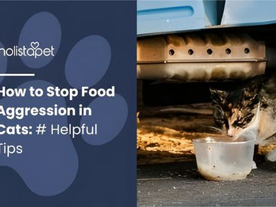 How to Stop Food Aggression in Cats: # Helpful Tips