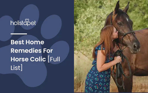 Best home remedies for horse colic