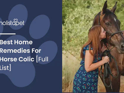 Best Home Remedies for Horse Colic [Full List]