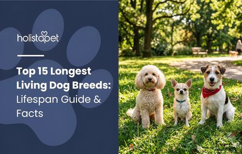 Longest living dog breeds: Three dogs sitting on grass with trees in the background.