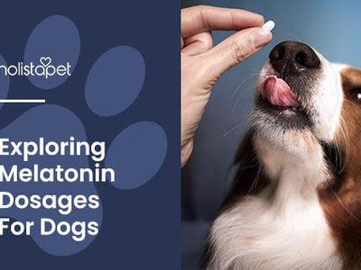 Melatonin Dosage for Dogs [All Breeds and Sizes Included]