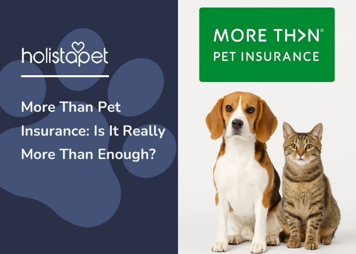 more than pet insurance