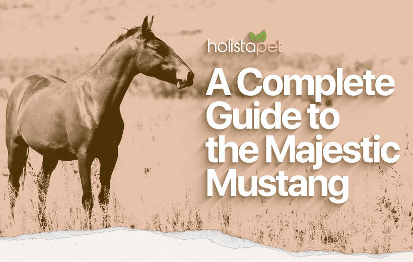 Mustang Horse: Icon of the American Wild West [Ultimate Breed Guide]