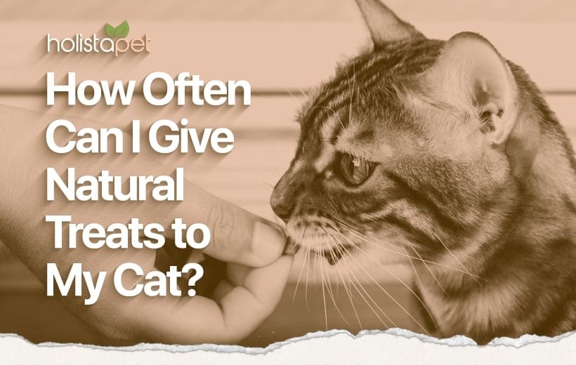 Natural Cat Treats: Snack Smarter And Better Your Pet's Life!