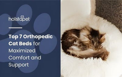 Top 7 Orthopedic Cat Beds for Maximized Comfort and Support
