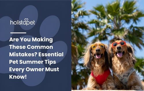 Are You Making These Common Mistakes? Essential Pet Summer Tips Every Owner Must Know