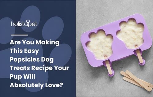 Are You Making This Easy Popsicles Dog Treats Recipe Your Pup Will Absolutely Love?