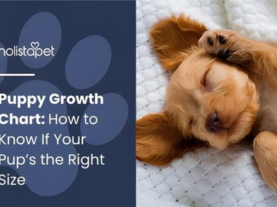 Puppy Growth Chart: How to Know If Your Pup’s the Right Size