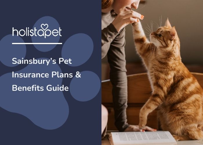 sainsburys pet insurance