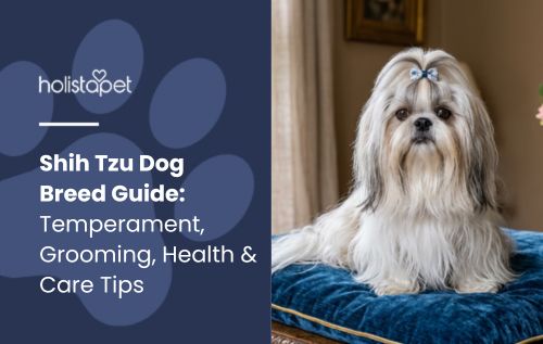 Shih Tzu Dog Breed Guide: Temperament, Grooming, Health & Care Tips
