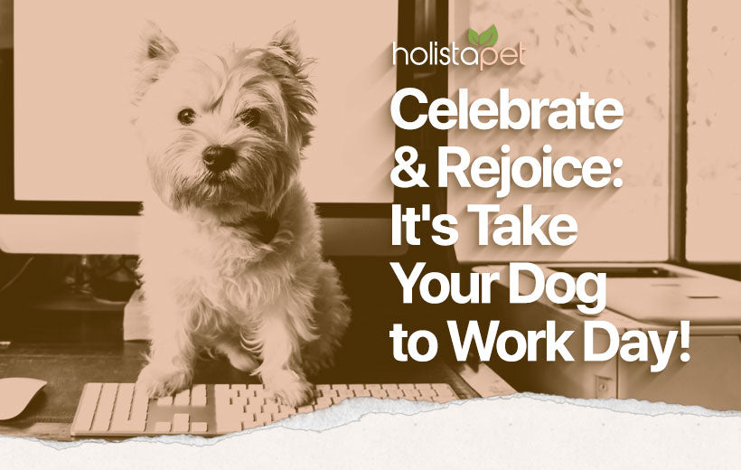 Take Your Dog to Work Day: How to Celebrate Your Pup with Co-Workers