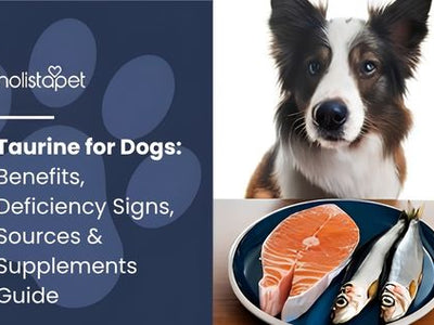 Taurine for Dogs: Benefits, Deficiency Signs, Sources & Supplements Guide