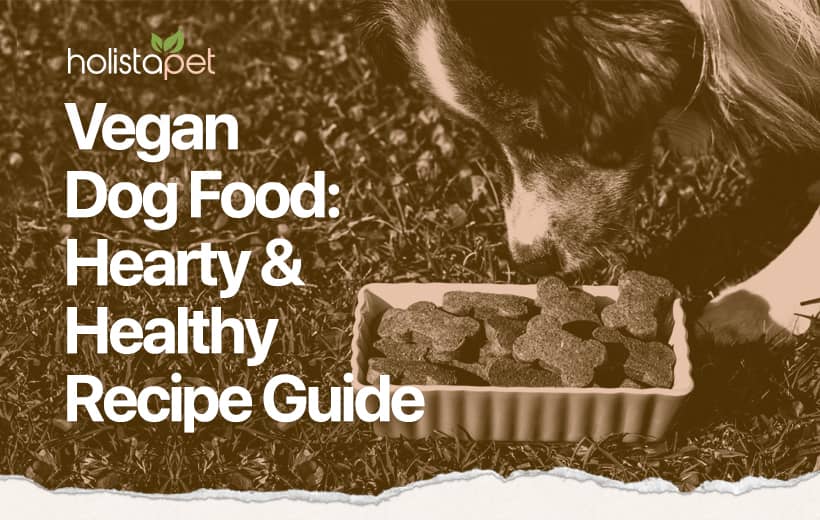 Vegan Dog Food Recipe [Wholesome Plant-Based Meals for Your Pup]