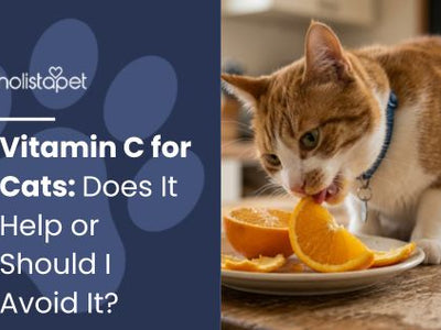 Vitamin C for Cats: Does It Help or Should I Avoid It?