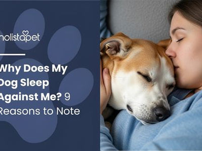 Why Does My Dog Sleep Against Me? 9 Reasons to Note