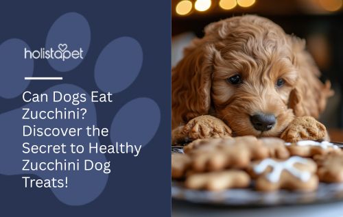 Can Dogs Eat Zucchini? Discover the Secret to Healthy Zucchini Dog Treats!