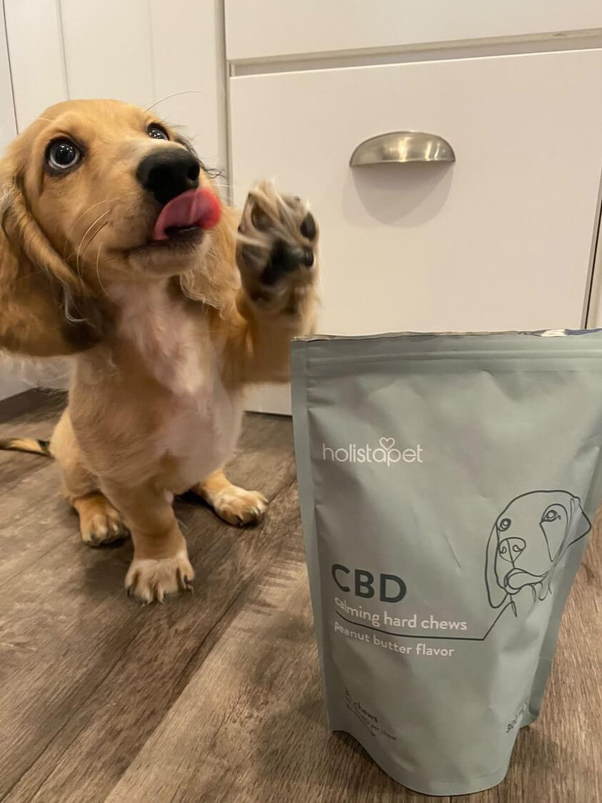 Holistapet organic dog treats sales