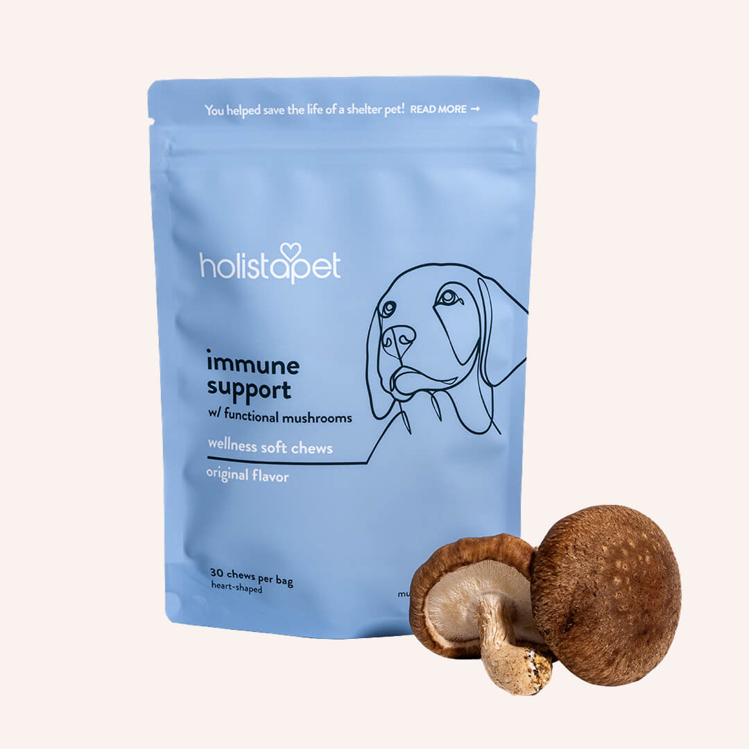Immune Support + Functional Mushroom Soft Chews for Dogs