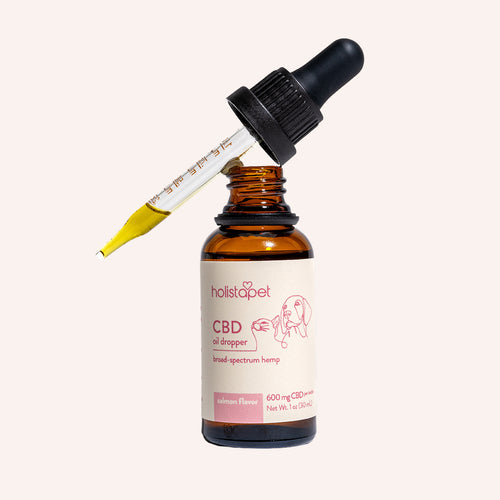 Salmon Flavored CBD Oil For Dogs - Highly Rated