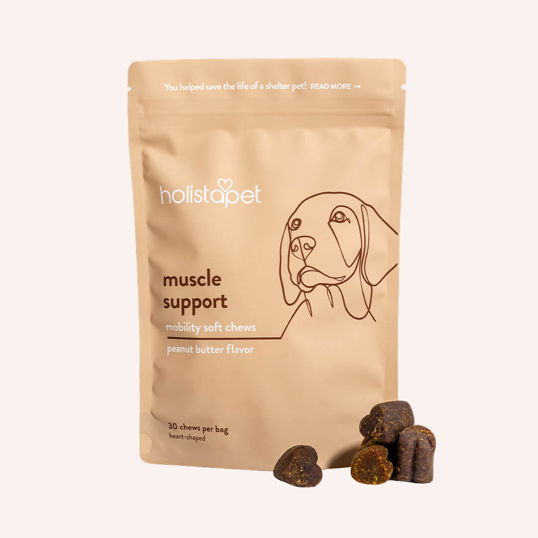 Muscle Support Soft Chews for Dogs