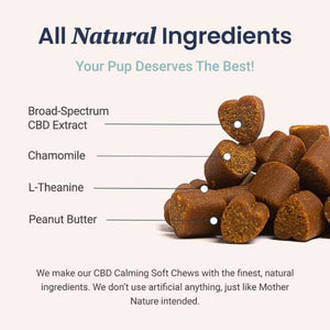 CBD Calming Chews for Dogs - HolistaPet